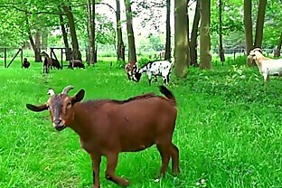 Monstruos oldman gets utterly sweet teen sucking his rod