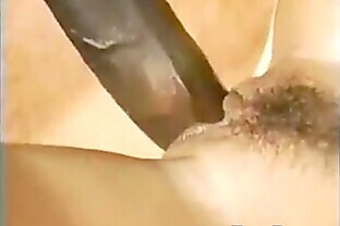 Classic Interracial Fun With Some BBC 13 min